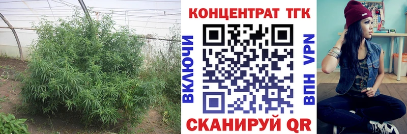 ТГК THC oil  Купить где  Кинель 