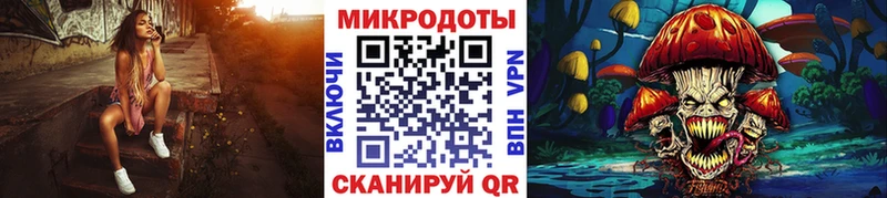 Купить  Кинель  Псилоцибиновые грибы Psilocybine cubensis 