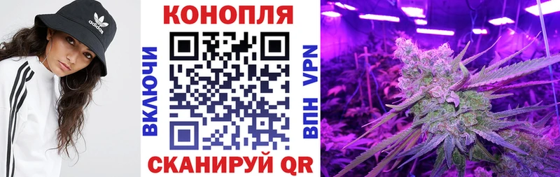МАРИХУАНА сатива Кинель